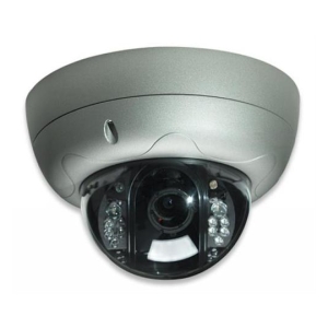 Dome-style security camera with infrared LEDs for nighttime monitoring.