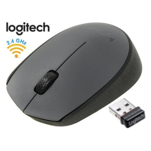Grey Logitech wireless mouse with USB nano receiver (2.4 GHz) beside it on a white background.