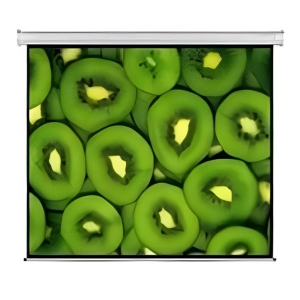 Close-up of green bell peppers filling the screen, showing their hollow centers.