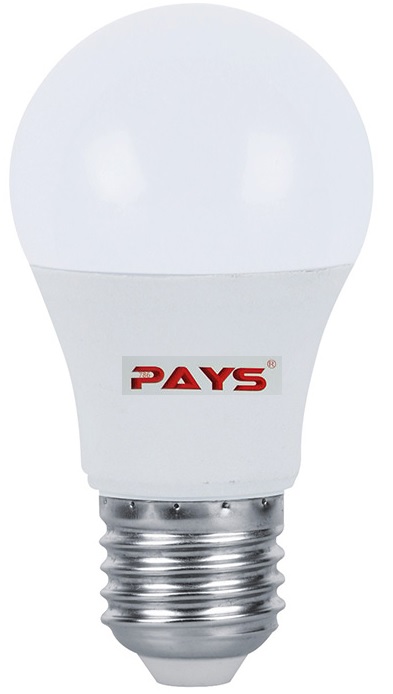 GA557E - Computech-Solutions White standard light bulb with a metal screw base and a PAYS logo on the body.