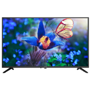 Television screen displaying a close-up of a blue flower with yellow center and a transparent butterfly perched on its petals.