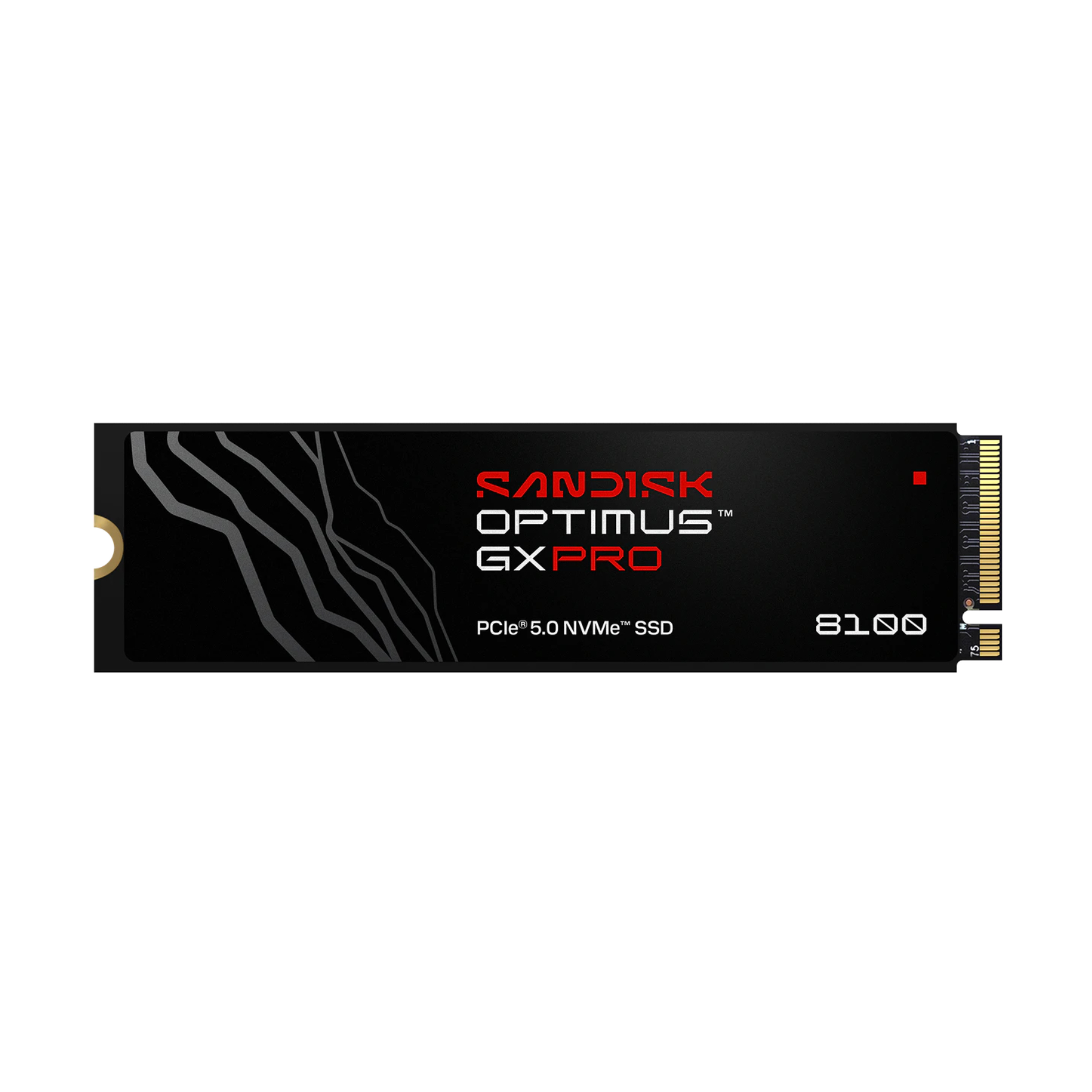 12539apng ComputechSolutions