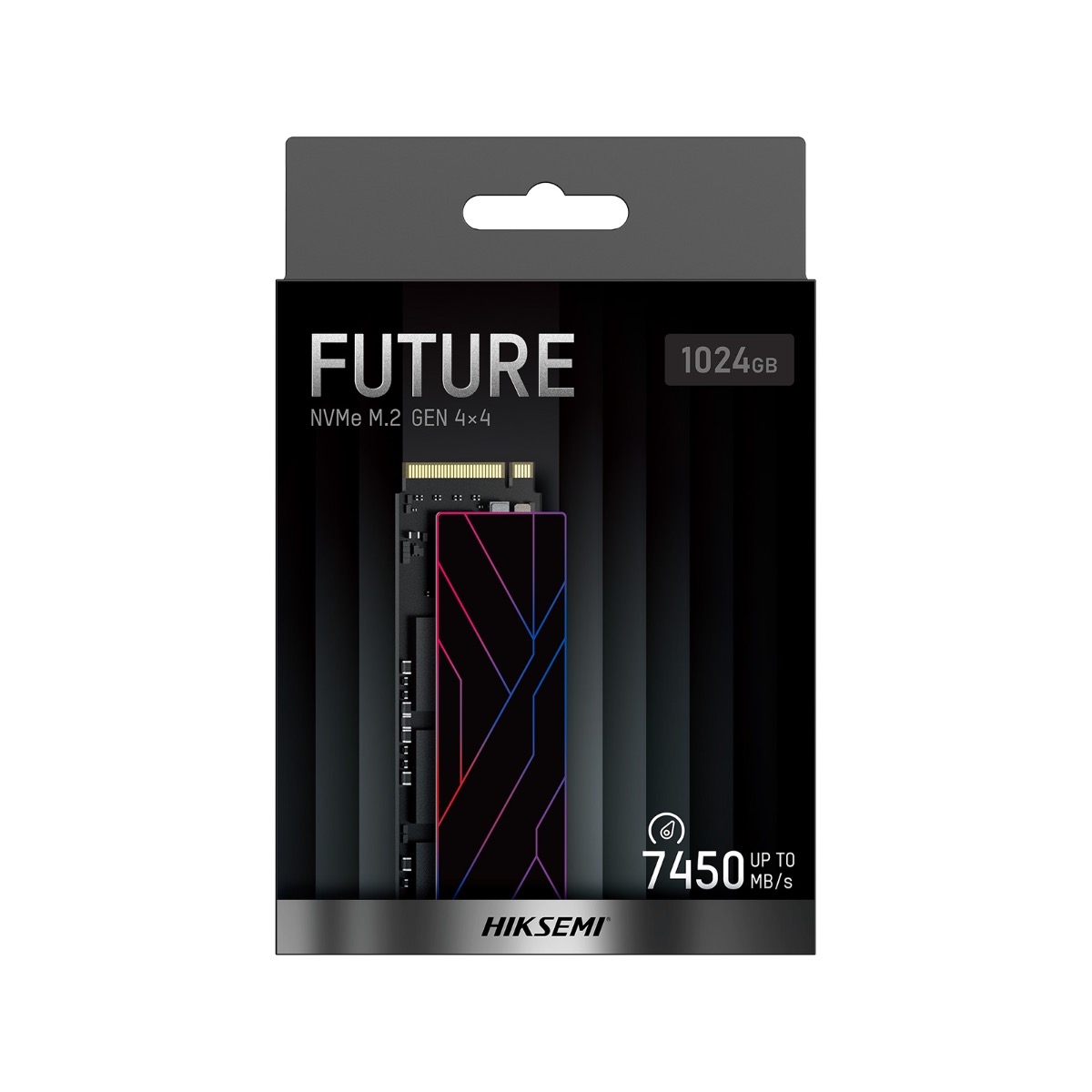 HSSSDFUTURE1024Geb12jpg ComputechSolutions