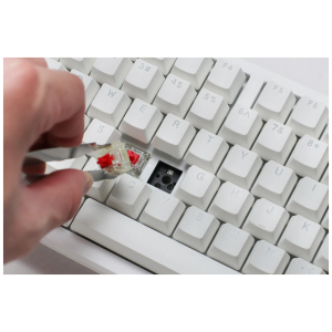 duckyzero6108purewhitehotswappable46qewebp ComputechSolutions