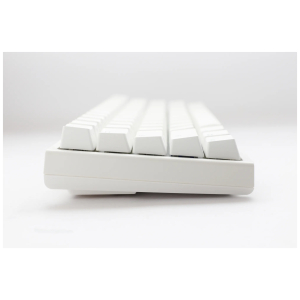 one2prominipurewhitesideshellwr5ywebp ComputechSolutions