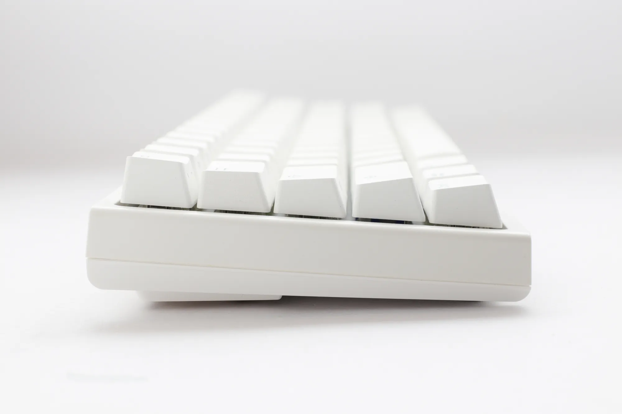 one2prominipurewhitesideshellwr5ywebp ComputechSolutions
